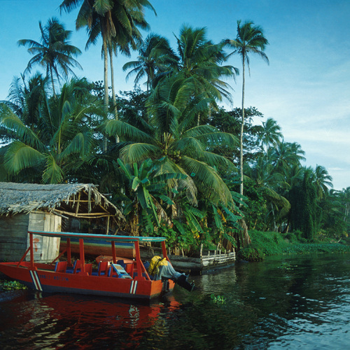 Le Costa Rica en Version Originale