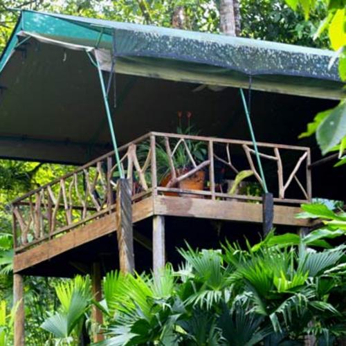 Rafiki Lodge - Rio Savegre - Quepos 