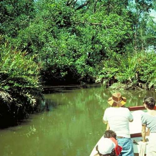 Tour Parque Nacional Tortuguero 2 dias/1 noche