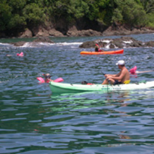 Kayak dans les mangroves de Hatillo