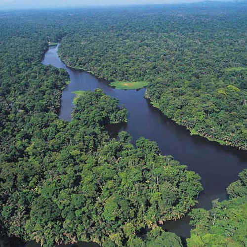 Forest, volcan et la plage