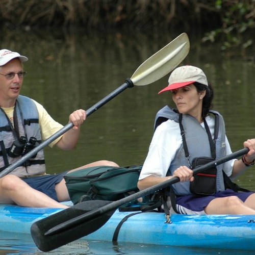 Damas Estuary Kayaking