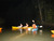 Night Mangrove Kayaking