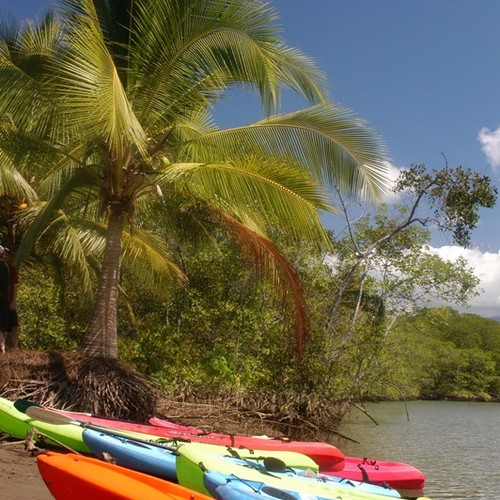 Kayak por la Costa / Snorkeling