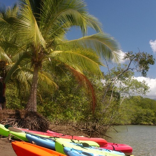 Snorkeling / Costal Kayaking