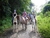 Horseback Riding - Manuel Antonio