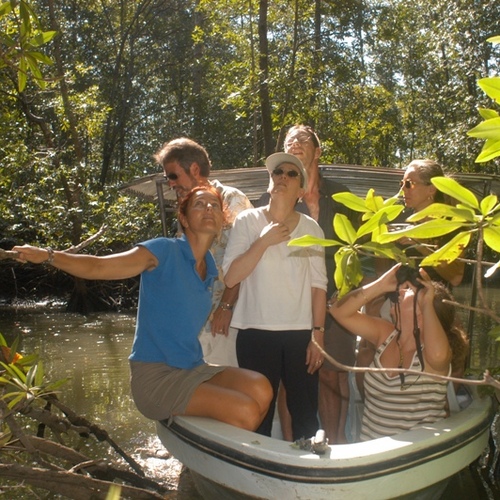 Bote por los Manglares de Isla Damas