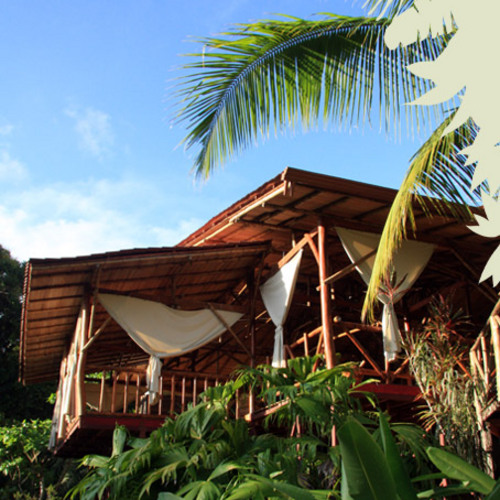 El Remanso lodge - Osa - Matapalo