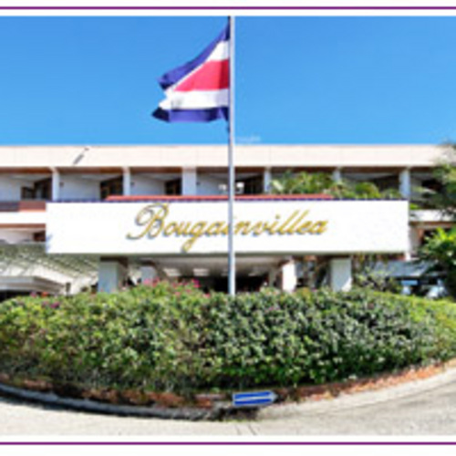 Bougainvillea - Santo Domingo de Heredia