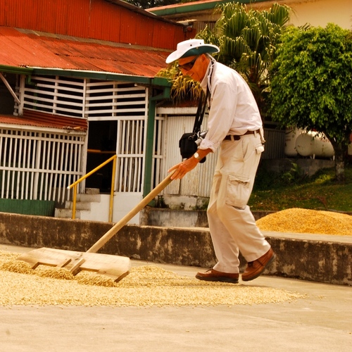 Tour du Café Doka & Volcan Poas 