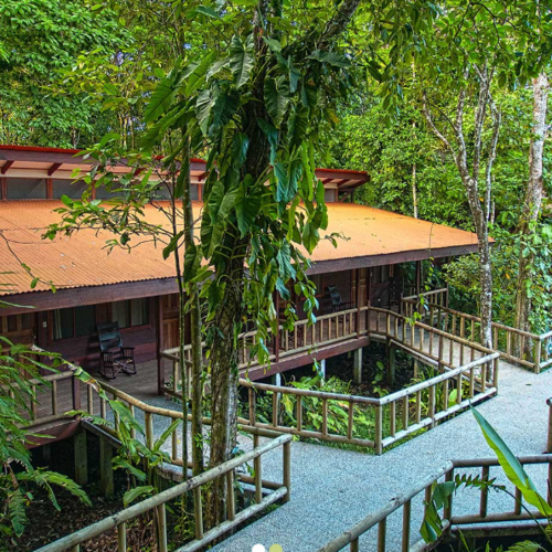 Evergreen Lodge - Tortuguero 