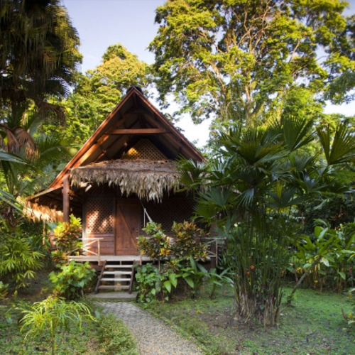 Azania Bungalows - Puerto Viejo 