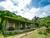 Cloud Forest Lodge - Monteverde