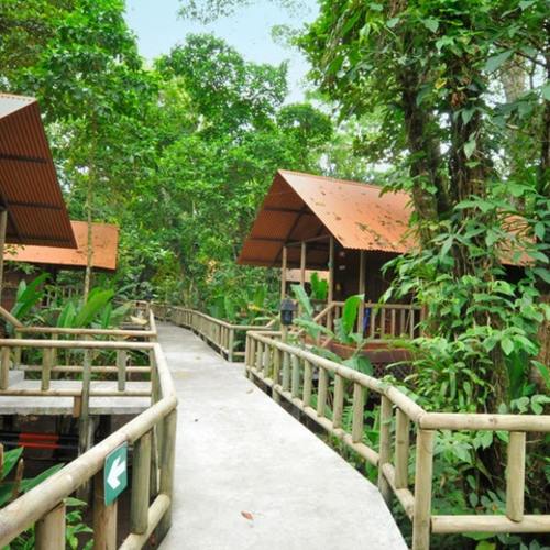 Aninga Lodge - Tortuguero 