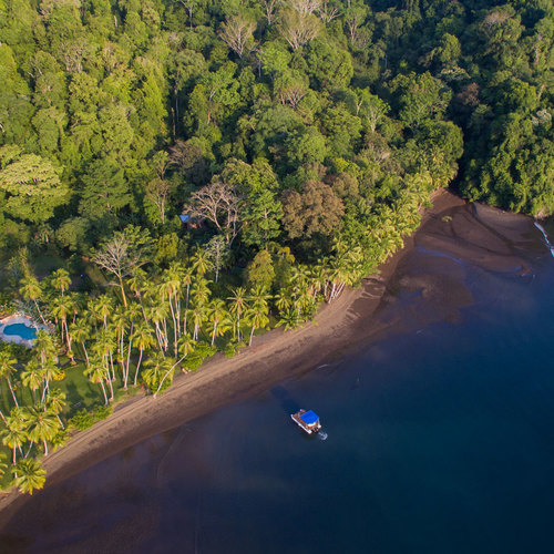 Playa Cativo - Golfo Dulce - Golfito