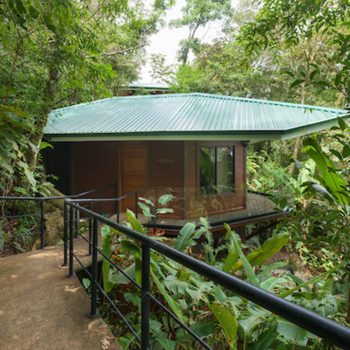 Koora & Aguti Reserve - Monteverde