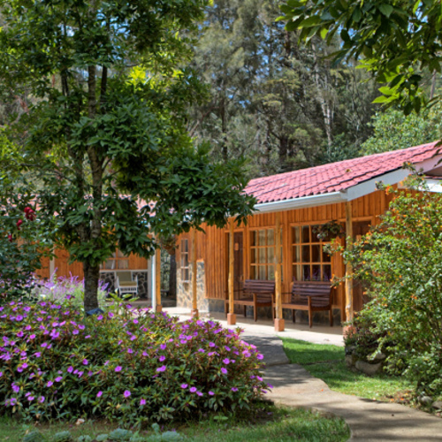 Suria Lodge - San Gerardo de Dota