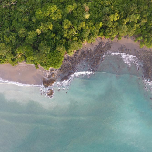 Lapa Rios - Puerto Jimenez - Osa